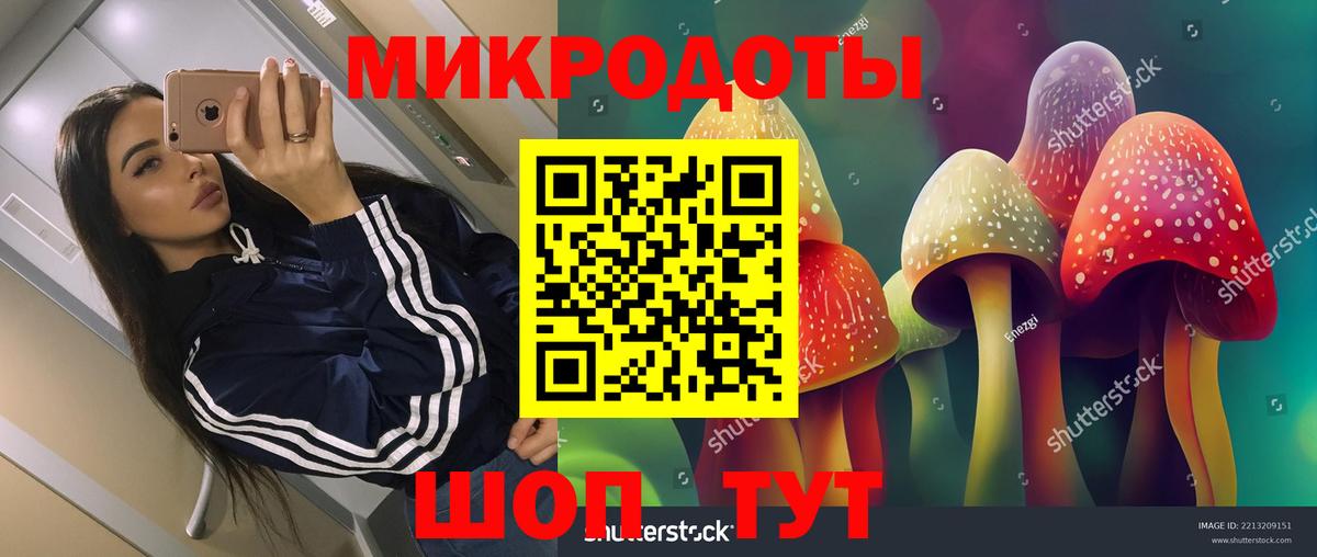 Псилоцибиновые грибы Cubensis Орск